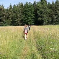 Img 20190703 094651 1